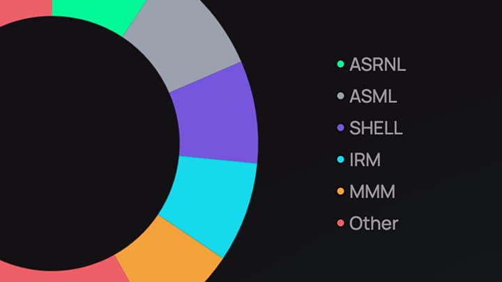 Allocation and holdings view